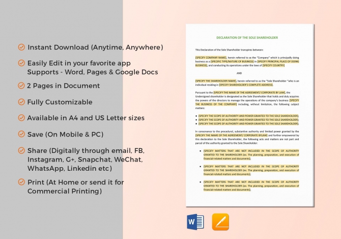 Declaration Of The Sole Shareholder Template In Word  Google Docs